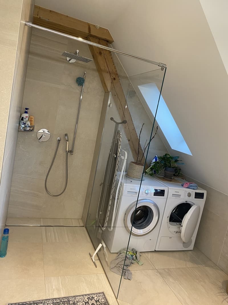 Bathroom + laundry