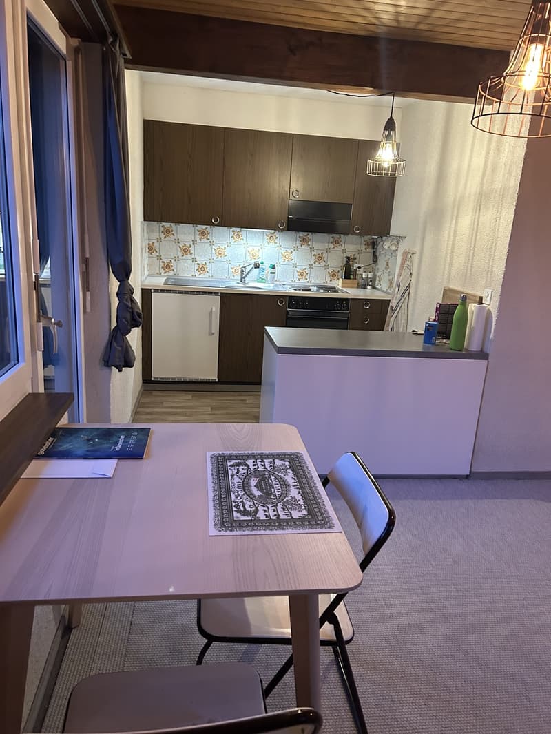 2 Zimmer-Wohnung mit Gartensitzplatz (4)