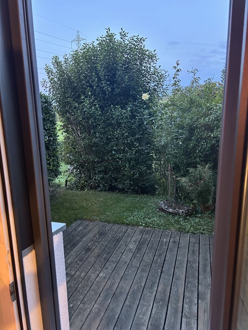 2 Zimmer-Wohnung mit Gartensitzplatz (2)