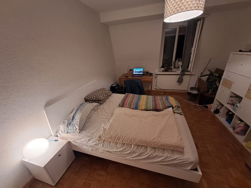 Zentrales WG Zimmer in Zürich (4)