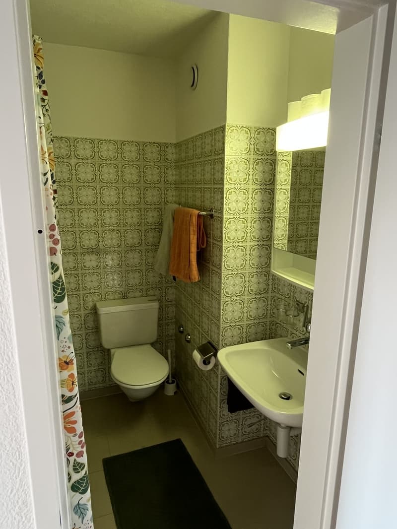 Zentrales WG Zimmer in Zürich (7)