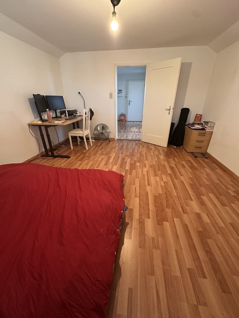 2.5 Wohnung in Frauenfeld (6)