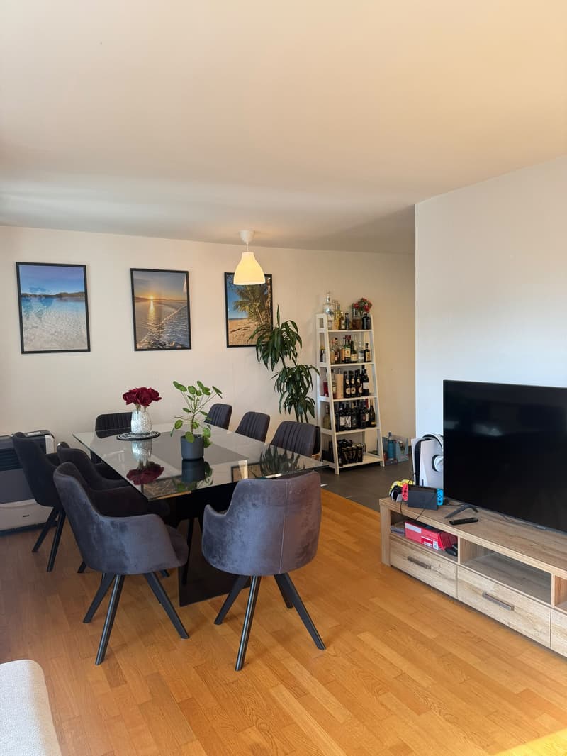 3.5 Zimmer-Wohnung in der Neustadt Luzern (3)