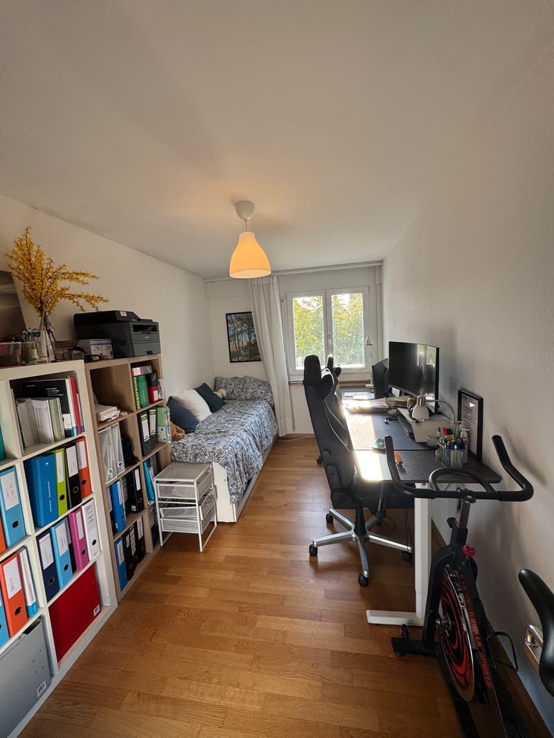 3.5 Zimmer-Wohnung in der Neustadt Luzern (5)