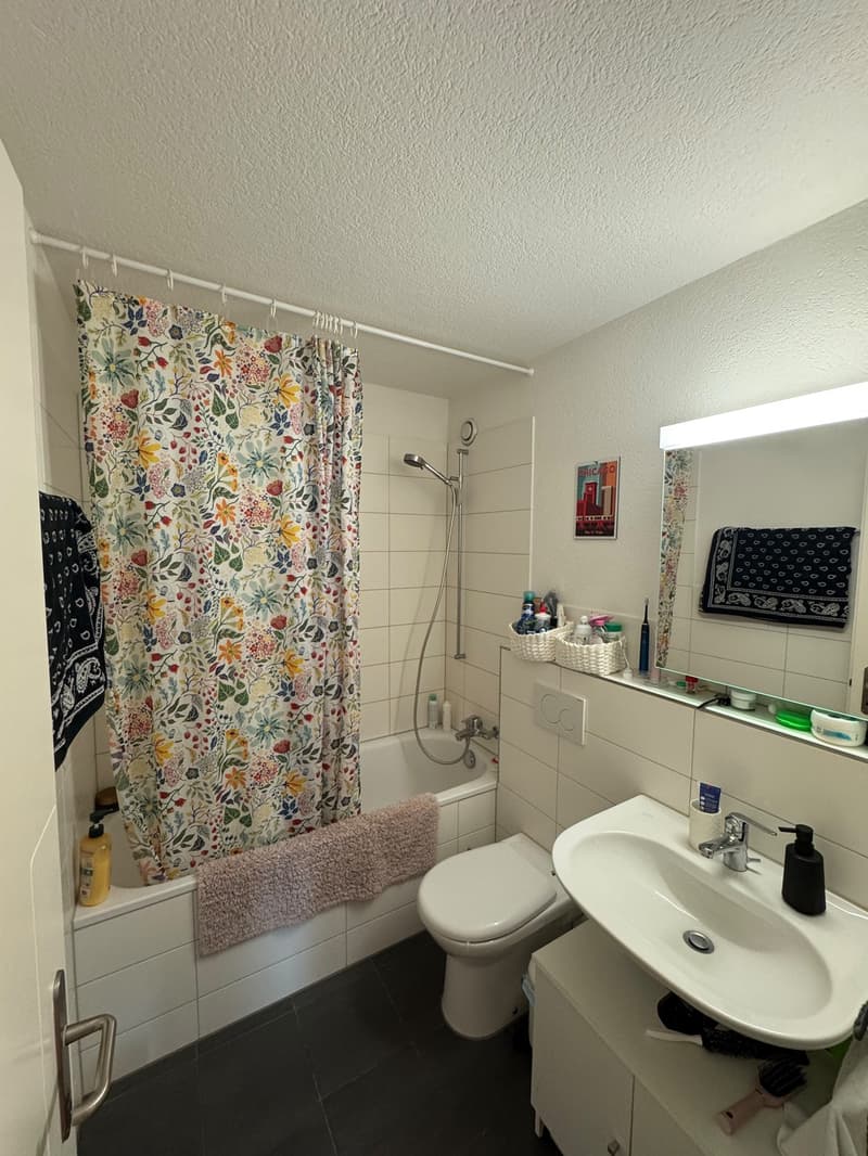 3.5 Zimmer-Wohnung in der Neustadt Luzern (9)