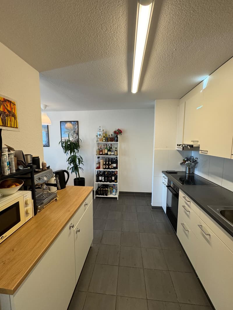 3.5 Zimmer-Wohnung in der Neustadt Luzern (6)