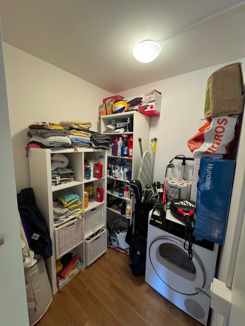 3.5 Zimmer-Wohnung in der Neustadt Luzern (8)