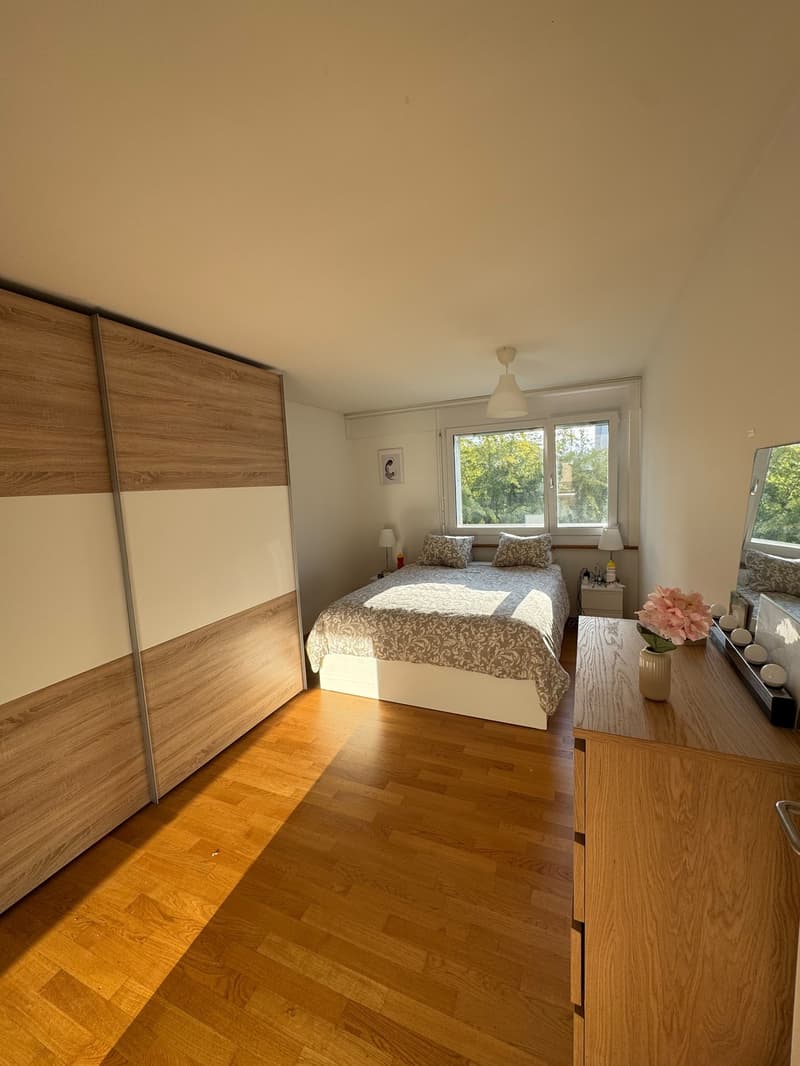 3.5 Zimmer-Wohnung in der Neustadt Luzern (2)