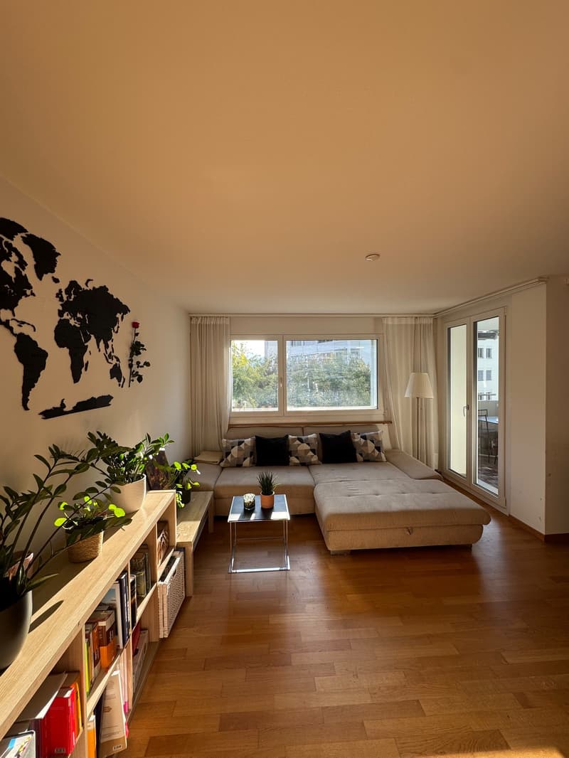3.5 Zimmer-Wohnung in der Neustadt Luzern (4)