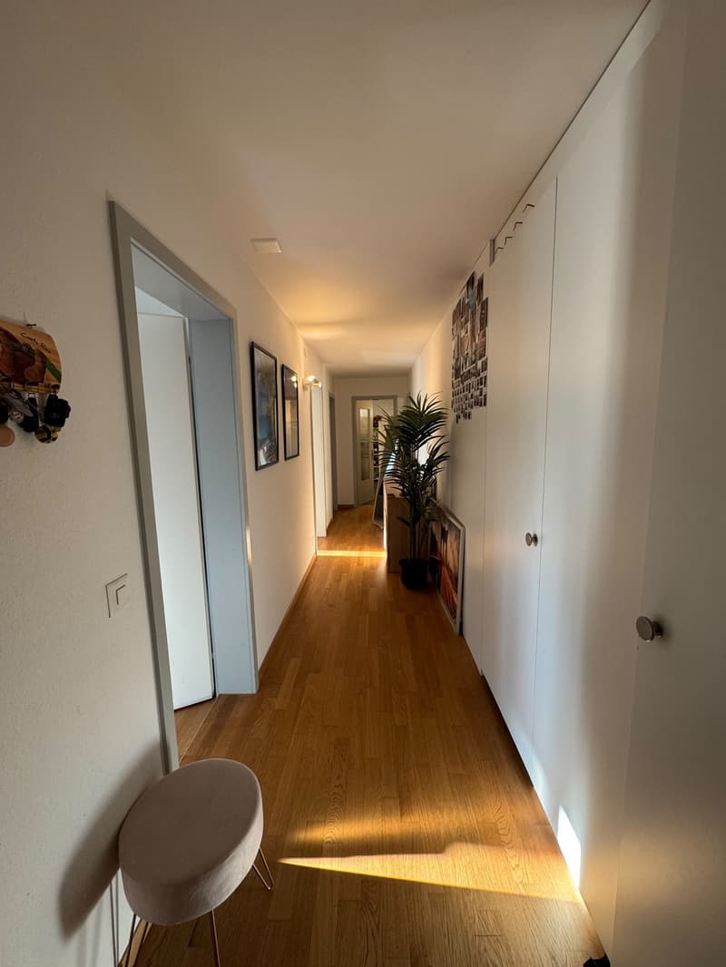 3.5 Zimmer-Wohnung in der Neustadt Luzern (10)