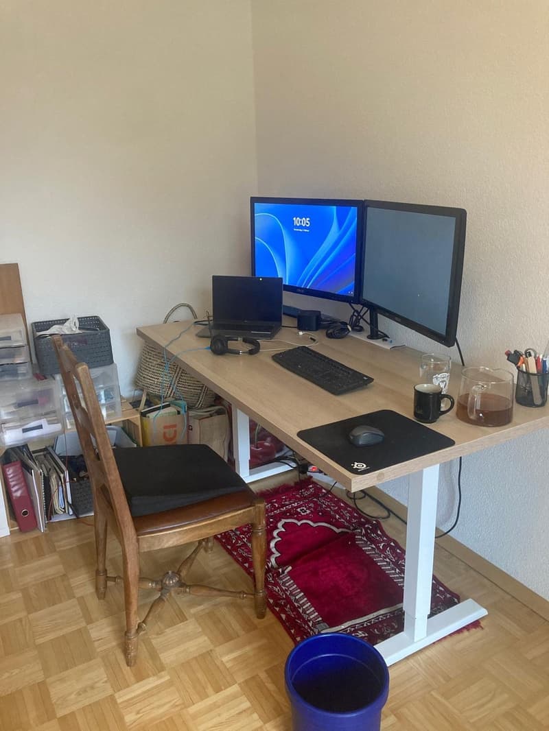 Dreizimmerwohnung mit Gemeinschaftsdachterrasse (13)