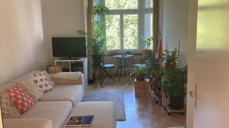 Dreizimmerwohnung mit Gemeinschaftsdachterrasse (6)
