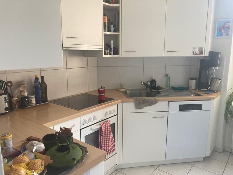 Dreizimmerwohnung mit Gemeinschaftsdachterrasse (4)