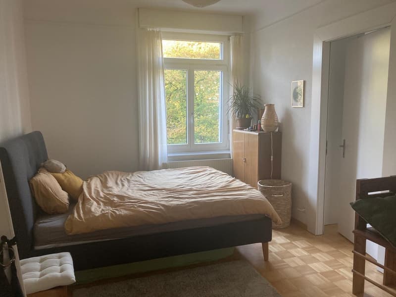 Dreizimmerwohnung mit Gemeinschaftsdachterrasse (11)