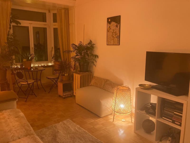 Dreizimmerwohnung mit Gemeinschaftsdachterrasse (9)
