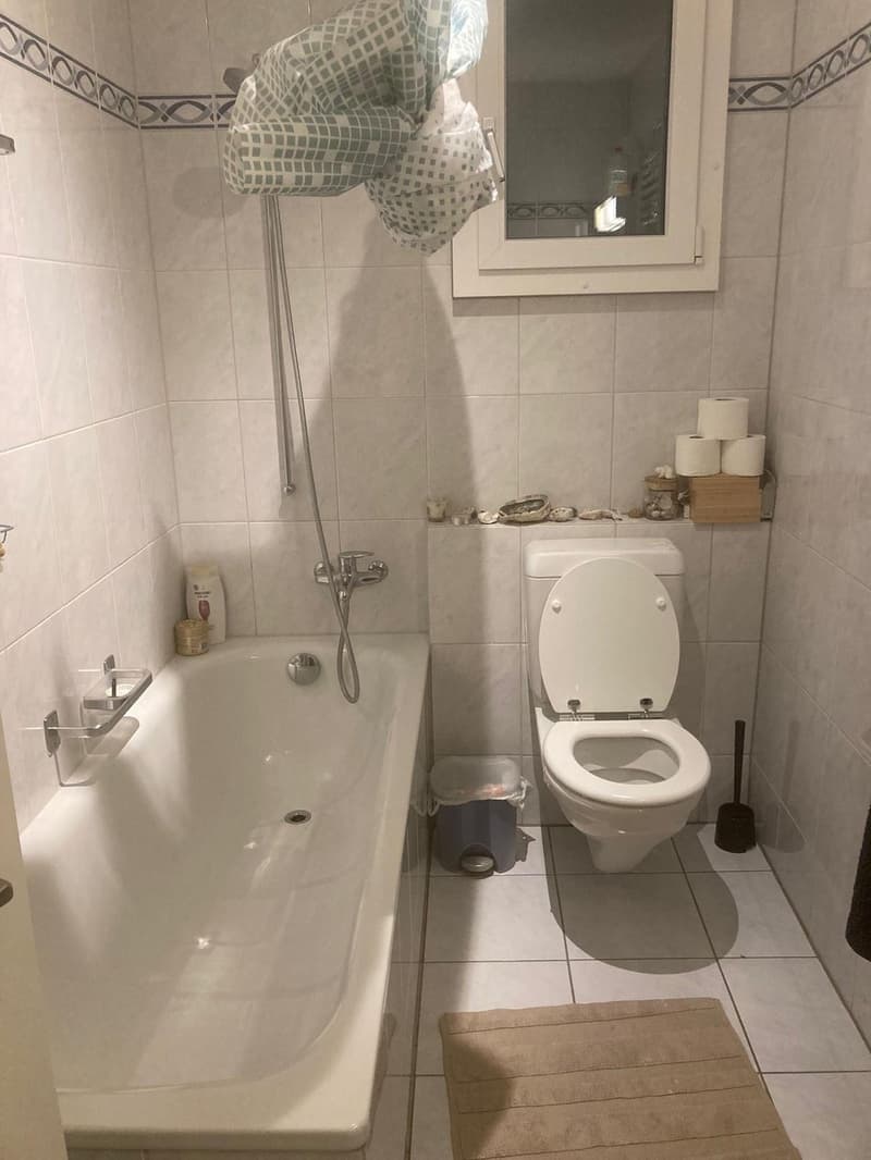 Dreizimmerwohnung mit Gemeinschaftsdachterrasse (5)