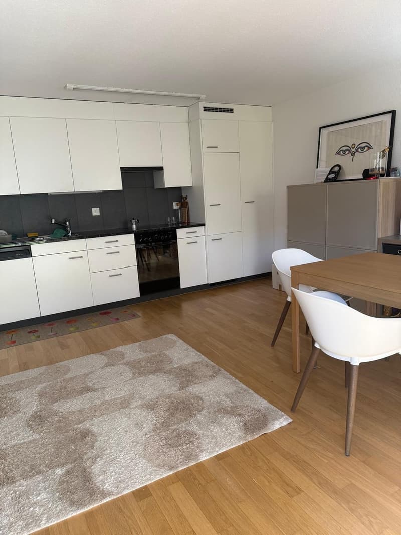 Helle 3.5-Zimmer-Wohnung in Frauenfeld (2)