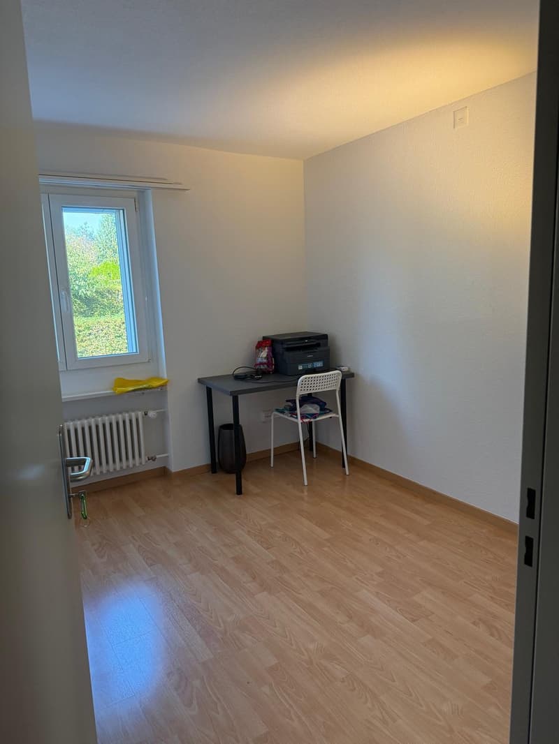Helle 3.5-Zimmer-Wohnung in Frauenfeld (7)