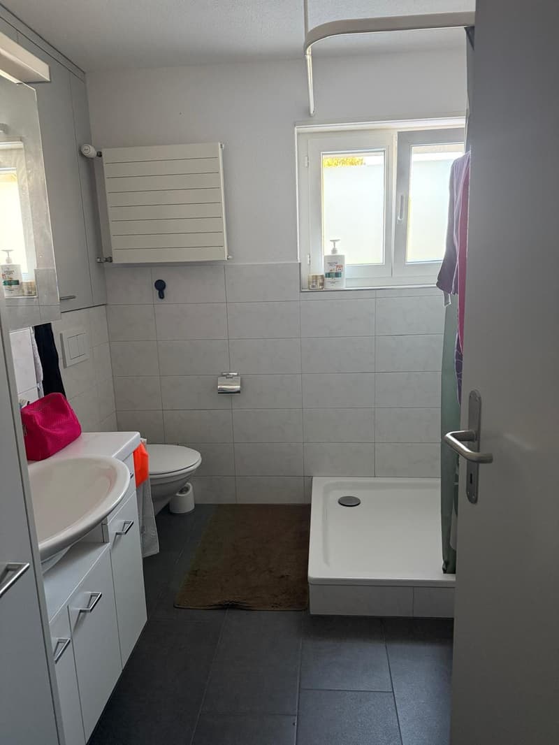 Helle 3.5-Zimmer-Wohnung in Frauenfeld (8)