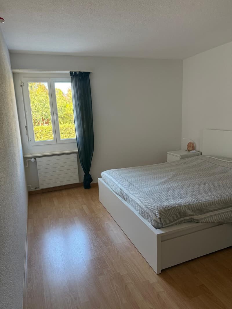 Helle 3.5-Zimmer-Wohnung in Frauenfeld (6)