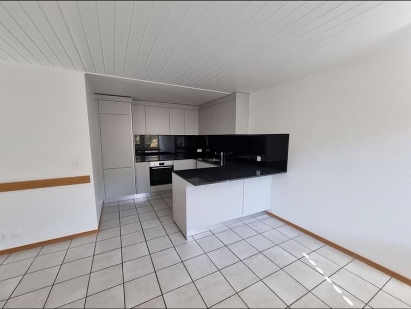 Bel appartement 4 pièces Libération pour le 01.01.2027 (7)