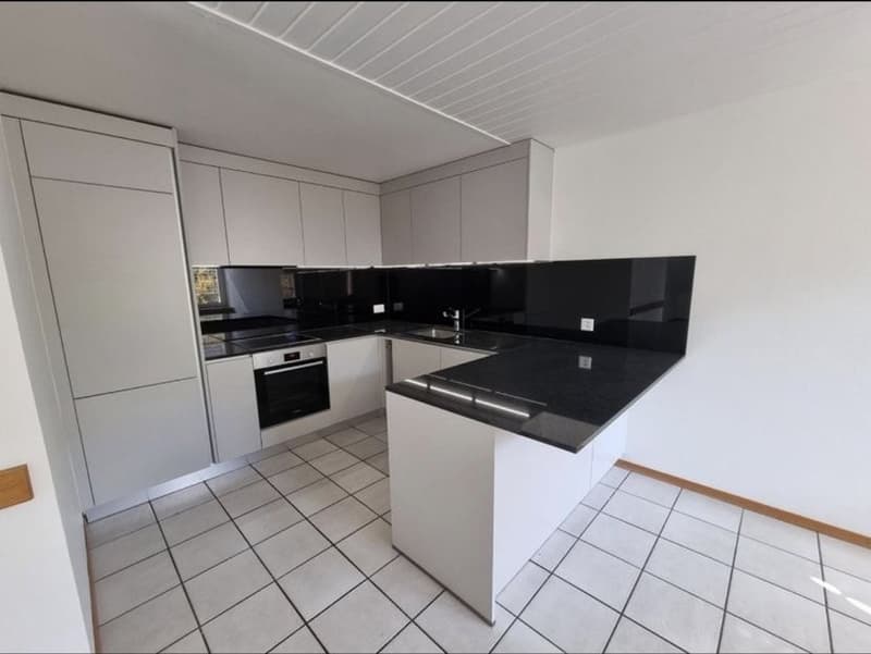 Bel appartement 4 pièces Libération pour le 01.01.2027 (5)