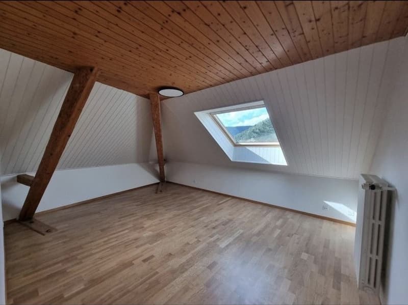Bel appartement 4 pièces Libération pour le 01.01.2027 (3)