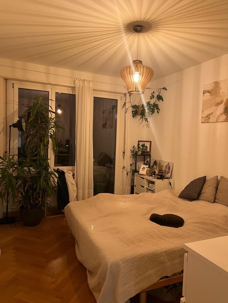 WG-Zimmer frei (6)