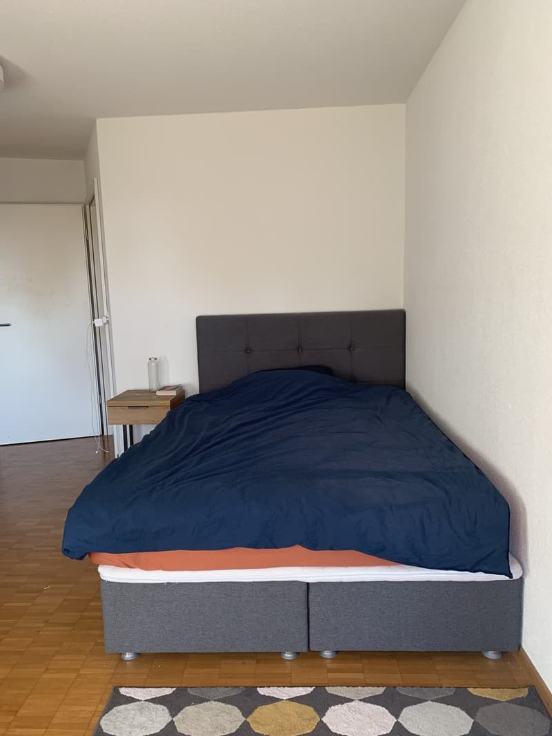 Furnished Wg Room in beautiful quarter (5)