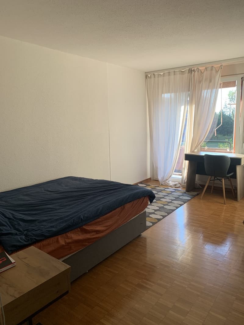 Furnished Wg Room in beautiful quarter (3)