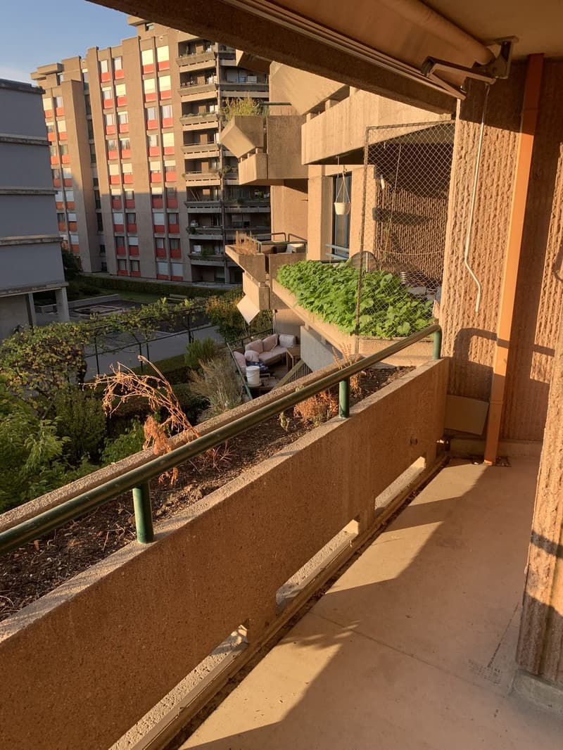 Furnished Wg Room in beautiful quarter (10)