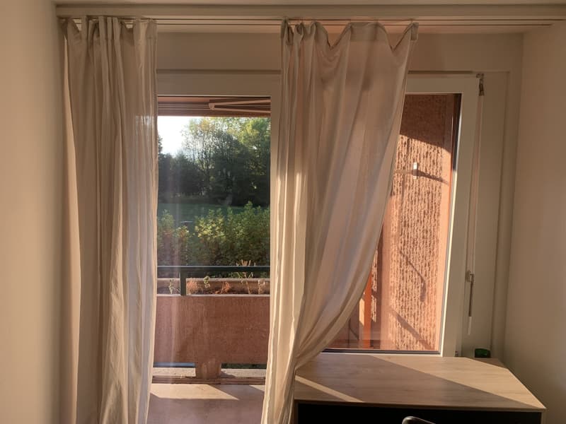Furnished Wg Room in beautiful quarter (2)