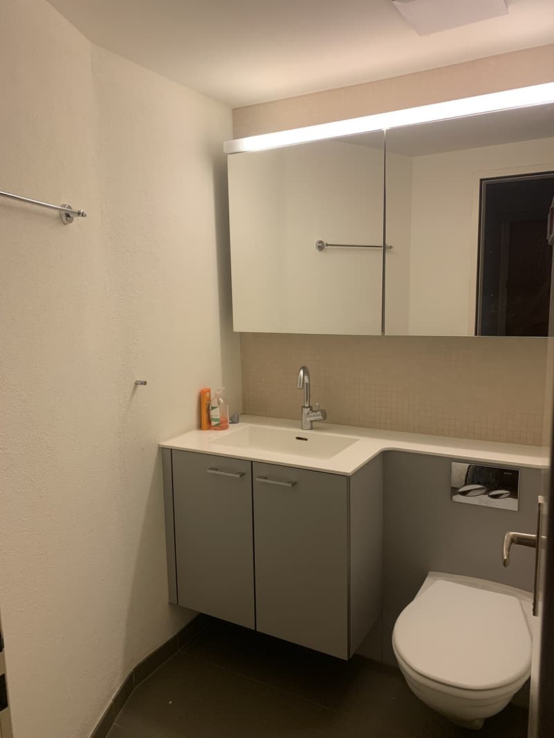 Furnished Wg Room in beautiful quarter (9)