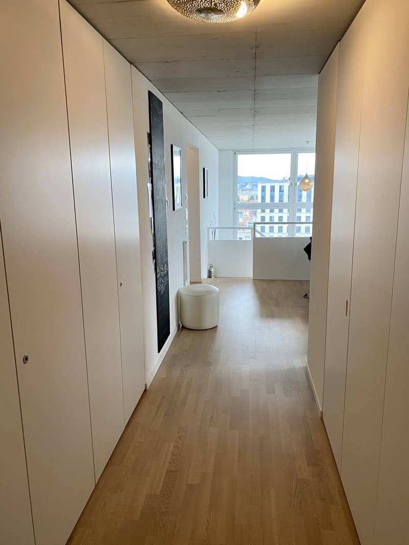 2 ½ rooms apartment, 8048 Zürich (11)