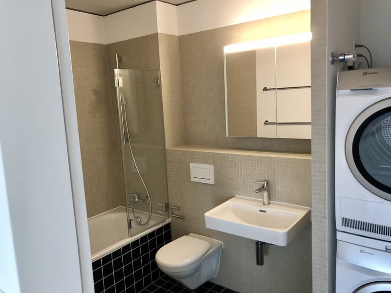 2 ½ rooms apartment, 8048 Zürich (10)