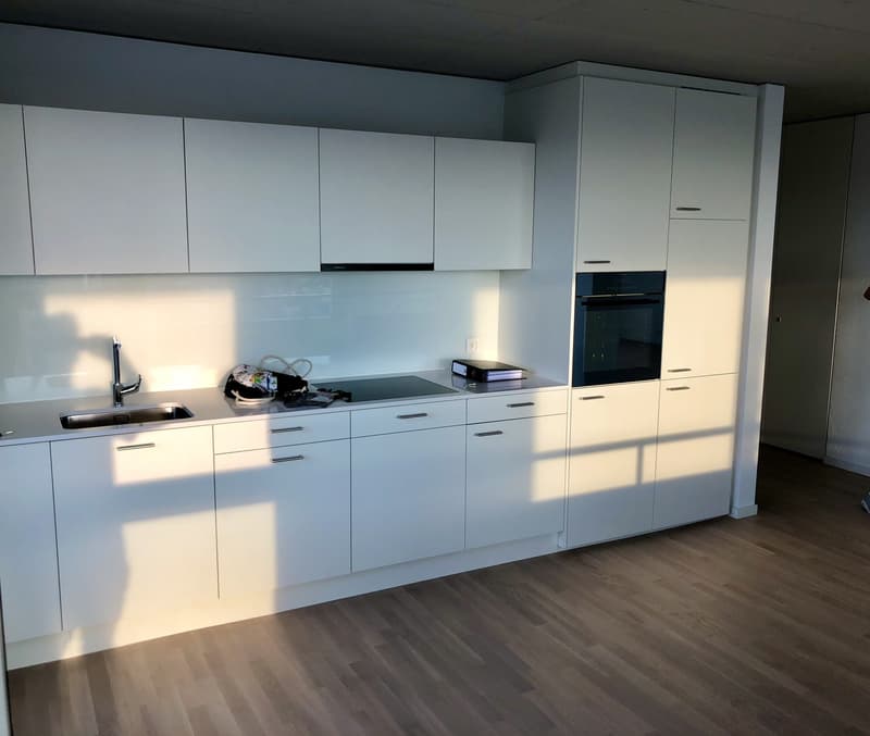 2 ½ rooms apartment, 8048 Zürich (12)