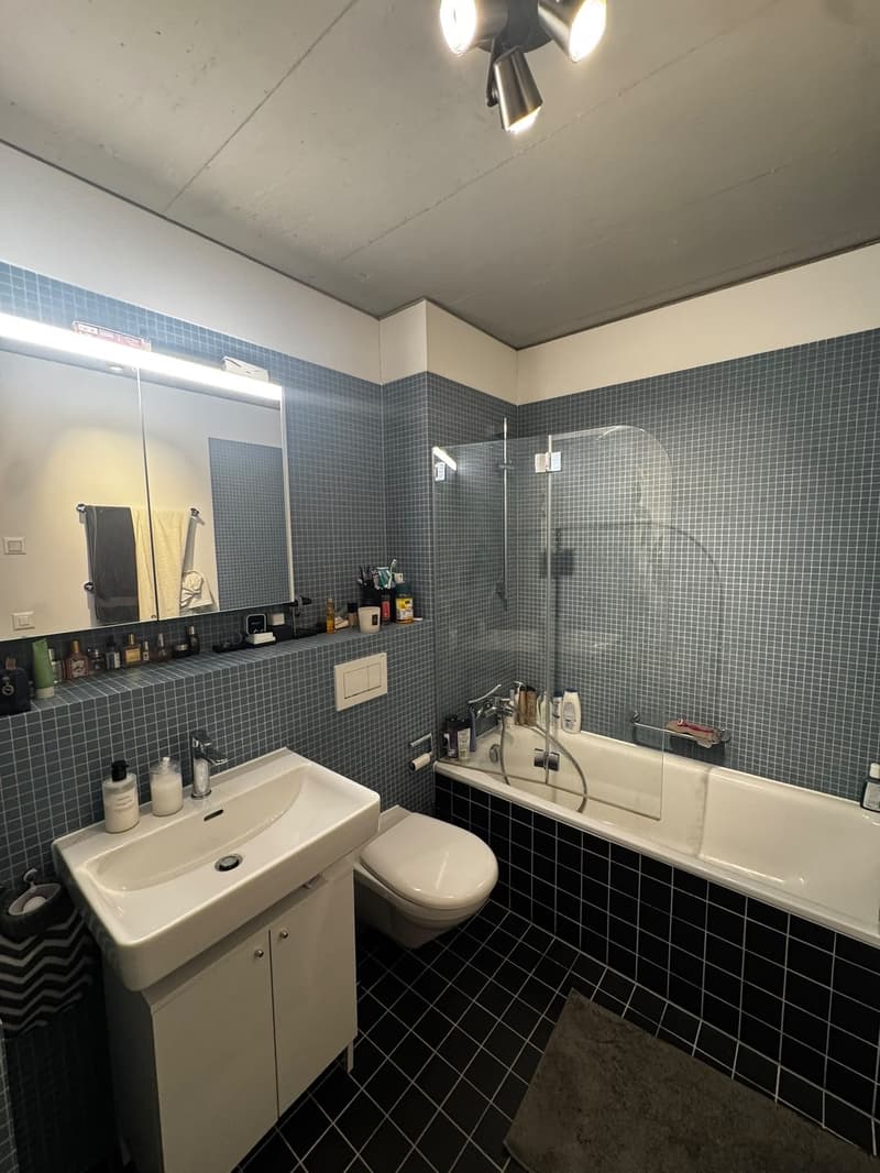 Moderne 3.5-Zimmer-Wohnung mit Weitblick zur befristeten Untermiete (5)
