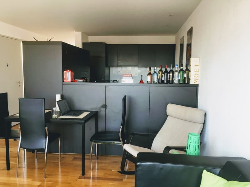 Private Furnished Room in Modern Luxurious Flat (5)
