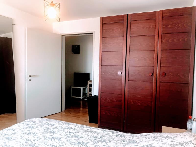 Private Furnished Room in Modern Luxurious Flat (13)