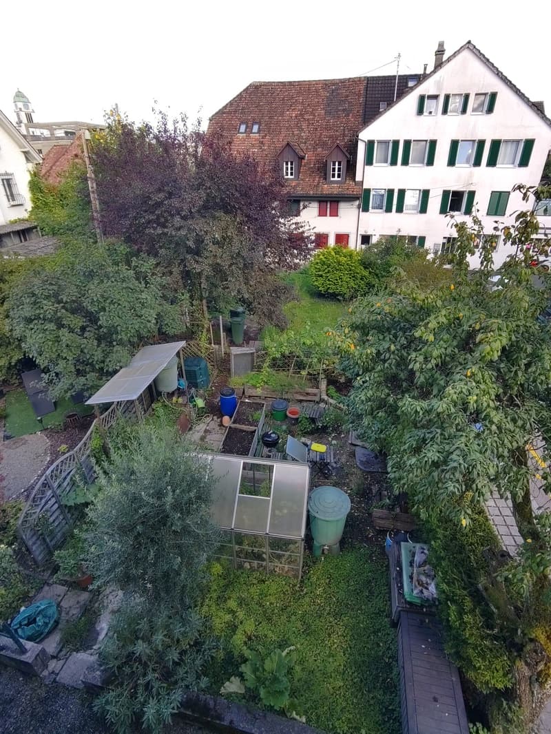 Befristete Untermiete / Temporary Sublet (5)