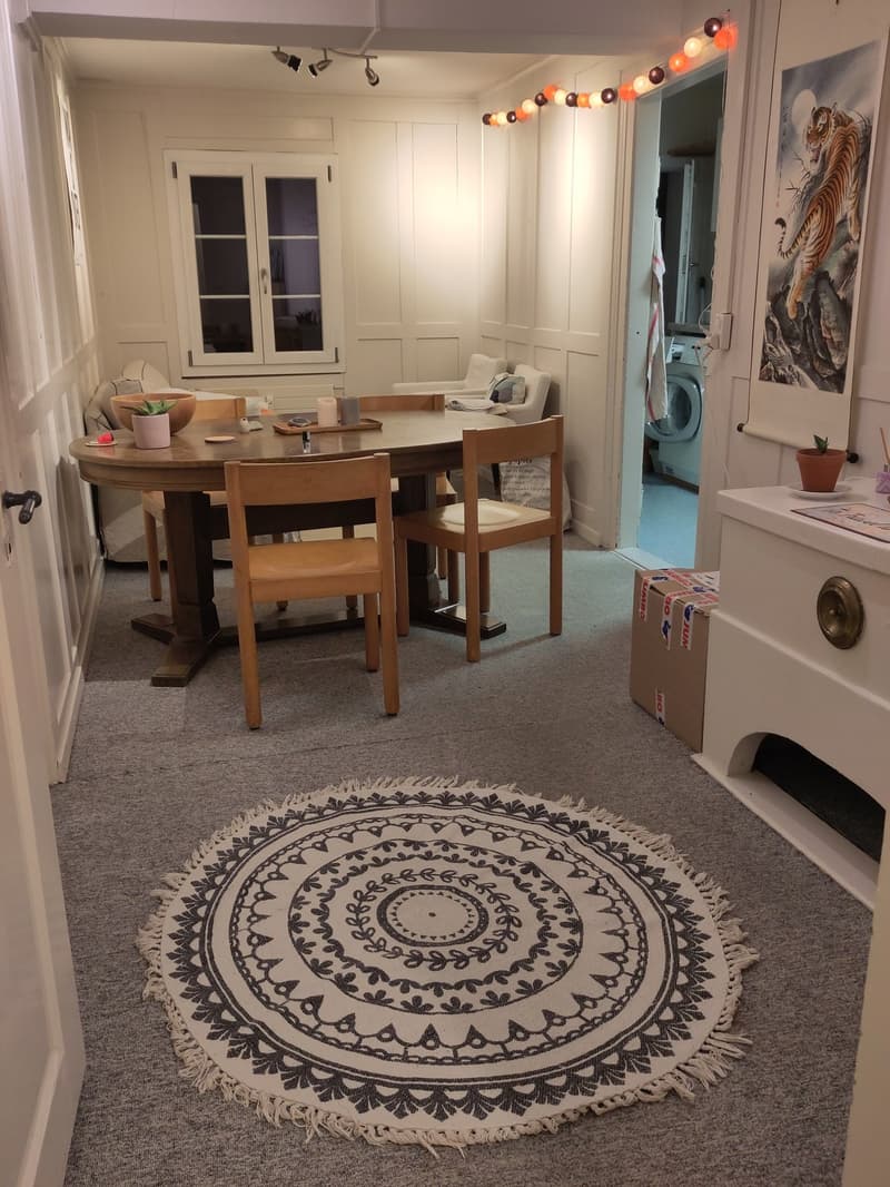 Befristete Untermiete / Temporary Sublet (1)