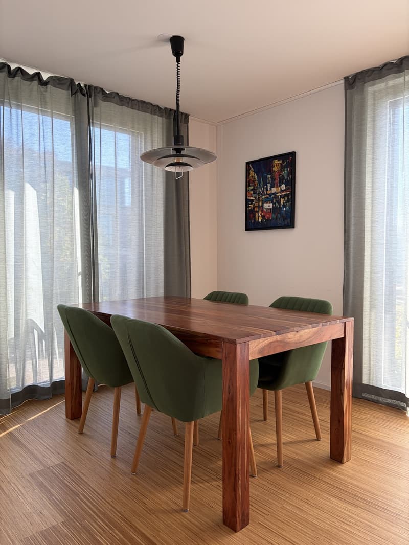 Möblierte 2.5-Zi.-Wohnung / Furnished 2.5-room apartment Küsnacht (8)