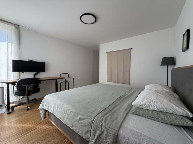 Möblierte 2.5-Zi.-Wohnung / Furnished 2.5-room apartment Küsnacht (6)
