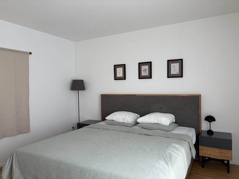 Möblierte 2.5-Zi.-Wohnung / Furnished 2.5-room apartment Küsnacht (5)