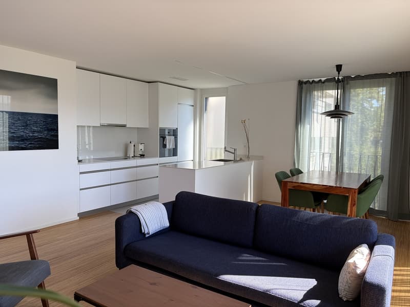Möblierte 2.5-Zi.-Wohnung / Furnished 2.5-room apartment Küsnacht (1)