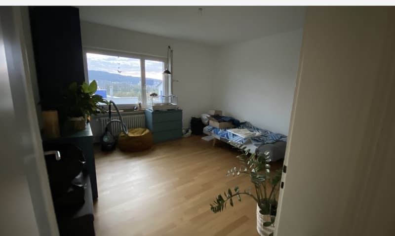 Wohnpartner/in gesucht (2)