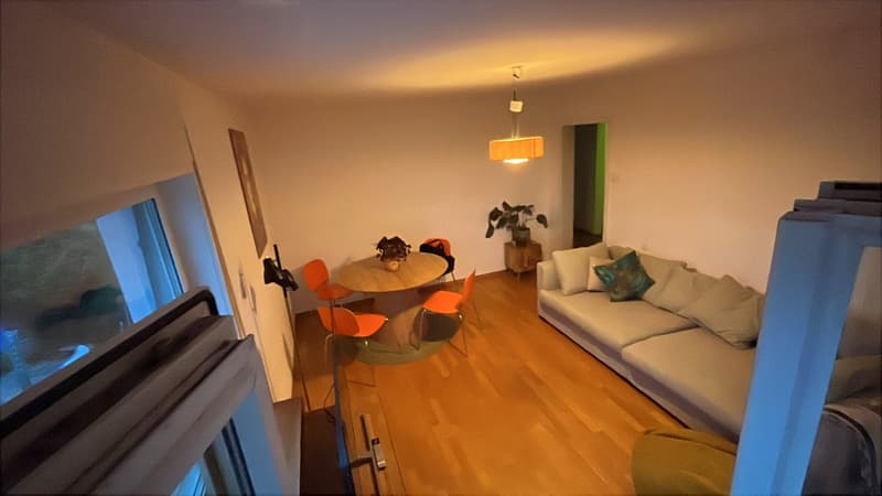 Wohnpartner/in gesucht (1)