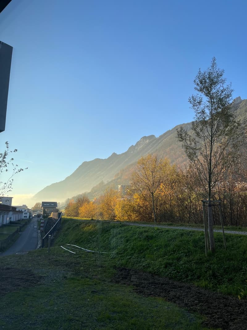 Untervermietung 4.5 Zimmer Wohnung in Brunnen (8)