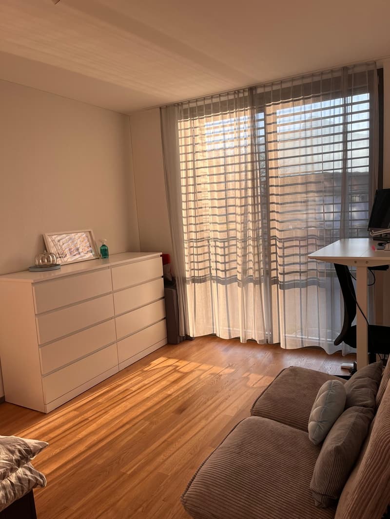 Untervermietung 4.5 Zimmer Wohnung in Brunnen (5)
