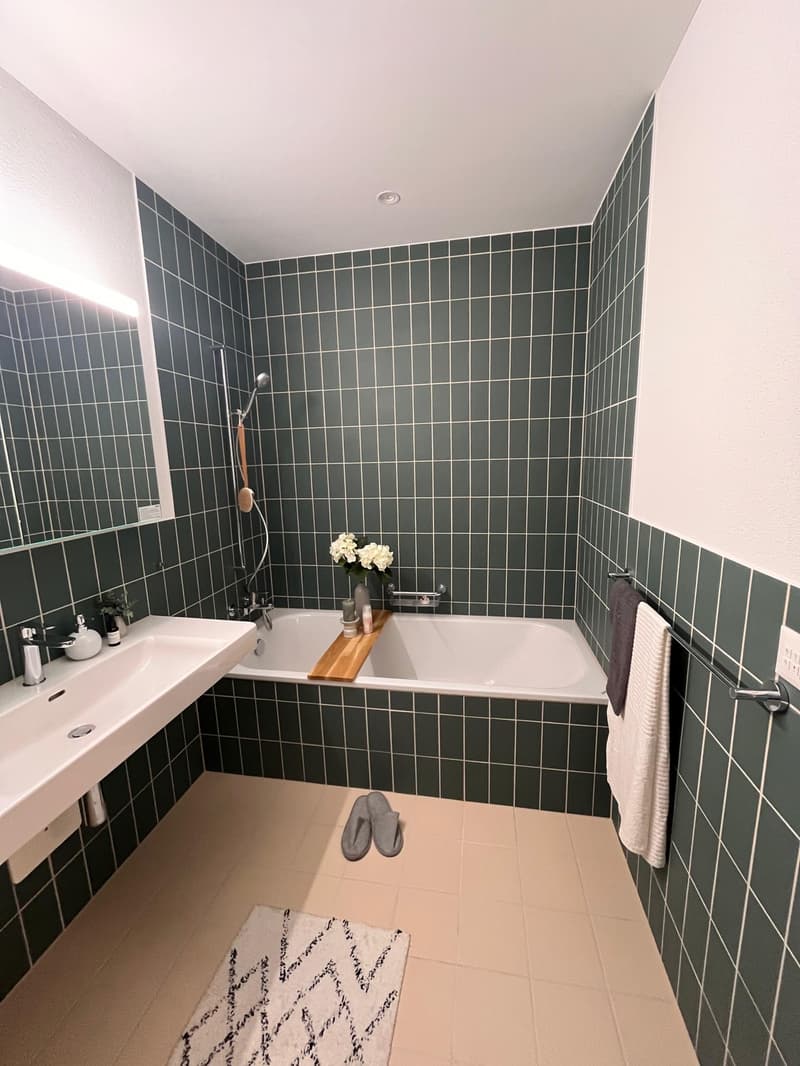 Untervermietung 4.5 Zimmer Wohnung in Brunnen (6)